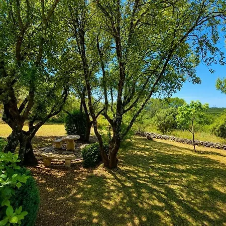 Σπίτι διακοπών Standing Day Piscine En Provence Gardoise *